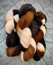 Load image into Gallery viewer, February - Bird of the Month Sock Yarn Club
