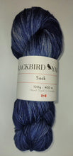Load image into Gallery viewer, Blackbird Yarns Sock yarn
